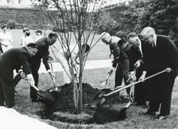 ["Black and white photograph print of Carl Albert, Tom Steed, and others at the Kerr Memorial Tree dedication."]