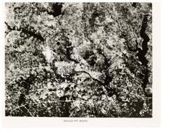 ["Black and white photograph from ERTS-1 of Dallas-Fort Worth, Texas. For release July 26, 1973"]