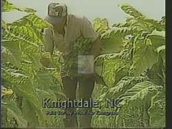 ["In a 1988 political TV ad, various North Carolina farmers praise Democratic Congressman David Eugene Price for his crucial support in amending the 1985 farm bill to better address local agricultural challenges. The farmers, diverse in age and background, emotionally testify to Price's dedicated advocacy and effective intervention, highlighting his commitment to rural communities and tailored farming policies."]