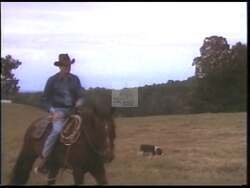 ["The 1994 political ad for Democratic Party candidate Charles Wilson featured Ralph Hall in various settings. Hall underscored his political independence, focusing on national priorities over party allegiance. Scenes included Hall sitting and speaking in an office, passionately addressing an audience at a podium backed by American flags, and interacting at formal events, emphasizing his commitment to bipartisanship and substantial national concerns."]