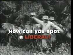 ["The 1996 political TV ad for Republican Andrea H. Seastrands campaign criticizes her opponent Walter Capps, labeling him overly liberal and fiscally irresponsible. The ad uses text overlays and negative graphics to emphasize the high costs associated with Capps policies, portraying them as excessively liberal and economically risky."]