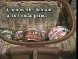 ["The political ad for Dan Williams' 1996 campaign starkly portrays the environmental consequences of Helen Chenoweths policies. Multiple scenes of barren, polluted riverbeds devoid of fish, scattered with discarded fishing equipment and empty cans, emphasize the destructive impact on Idaho's fishing industry and natural ecosystems due to poor policy choices."]