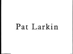 ["In his 1992 presidential campaign ad, Republican candidate Pat Larkin is depicted as a committed and accessible leader. Throughout the advertisement, Larkin is shown speaking passionately from a podium at various events, symbolically backed by campaign materials, and engaging fervently with enthusiastic supporters, illustrating his direct and approachable style."]